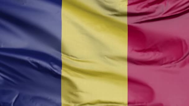 Flagge Rumäniens Realistisches — Stockvideo