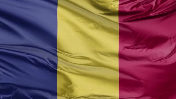 Bandera Romania Realista — Vídeo de stock