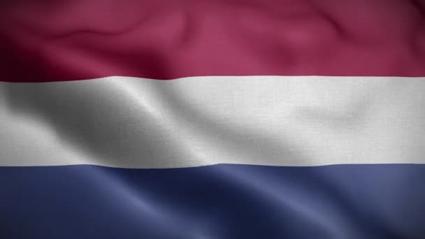 Bandeira Holanda Loop — Vídeo de Stock