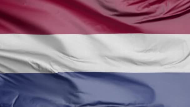 Bandera Netherlands Realistic — Vídeo de stock
