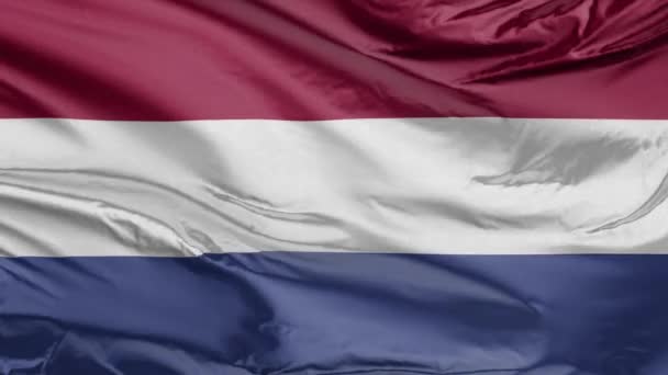 Bandera Netherlands Realistic — Vídeo de stock