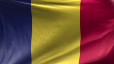 Romanya Bayrağı 3 Boyutlu Döngü