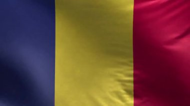 Romanya Bayrağı 3 Boyutlu Döngü