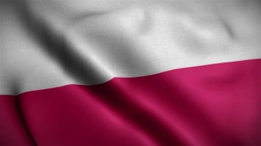 Polonya Bayrağı 3D Döngü