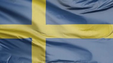 İsveç Gerçekçi 3D Bayrağı