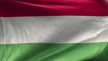 Macaristan Bayrağı 3D