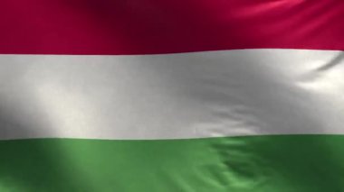 Macaristan Bayrağı 3D