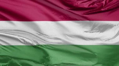 Macar Gerçekçi 3D Bayrağı