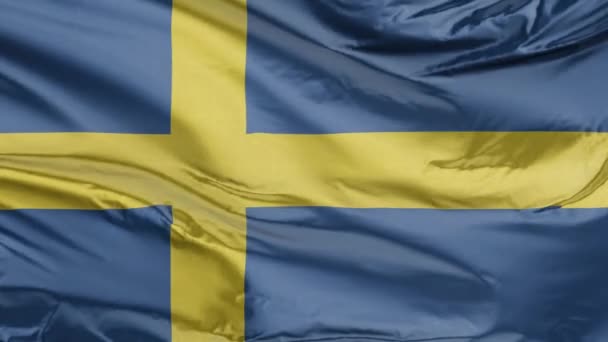 Bandeira Suécia Realista — Vídeo de Stock