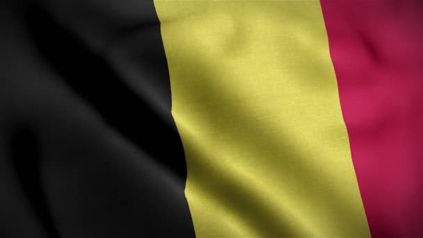 Флаг Бельгии Loop — стоковое видео