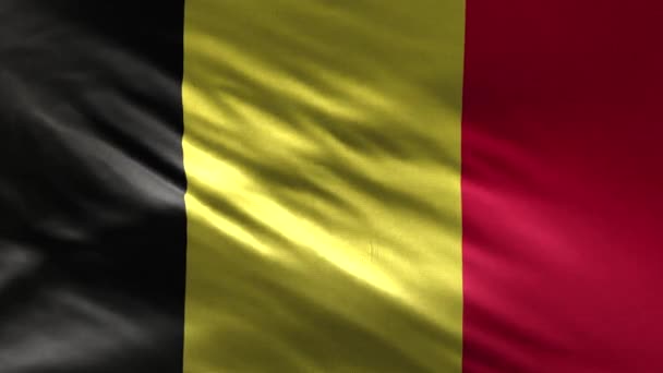 Flag Belgium Loop — Stock Video