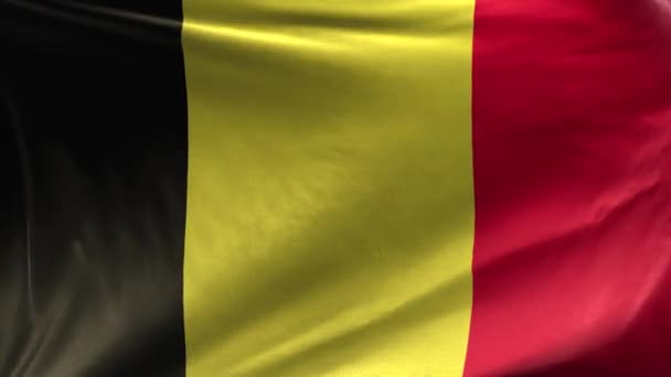 Флаг Бельгии Loop — стоковое видео