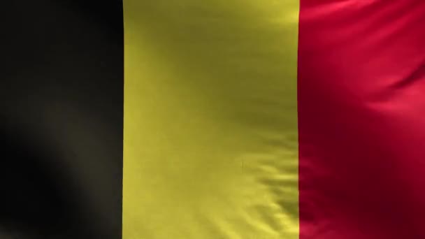 Vlag Van België Loop — Stockvideo