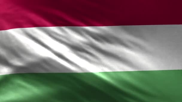 Прапор Угорщини Loop — стокове відео