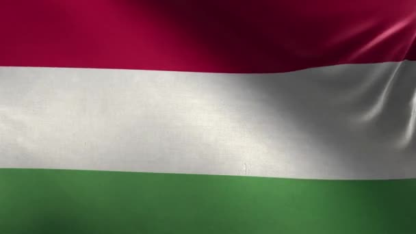 Flag Hungary Loop — Stock video