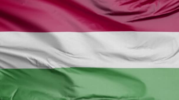 Bandera Hungría Realista — Vídeo de stock