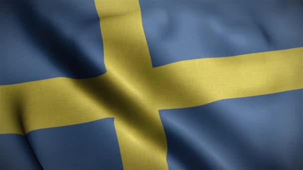 Bandera Suecia Loop — Vídeos de Stock