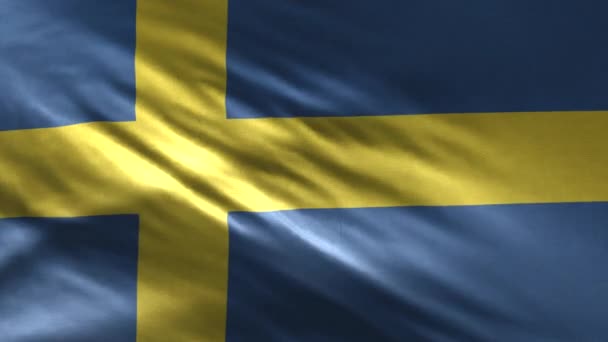 Flagge Von Schweden Schleife — Stockvideo