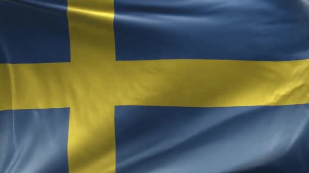 Sveriges Flagga Loop — Stockvideo