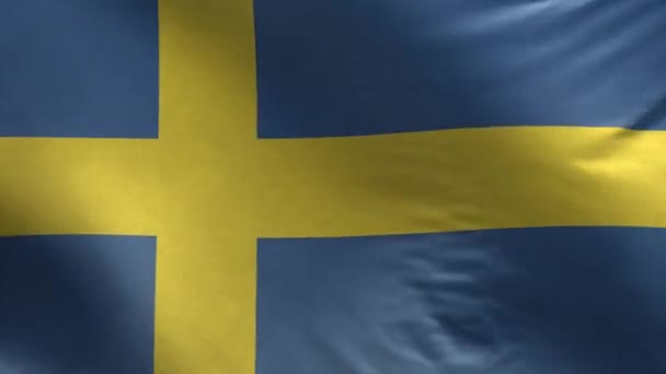 スウェーデン ループ3Dの旗 — ストック動画