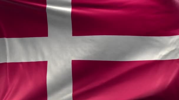 Bandera Dinamarca Loop — Vídeo de stock