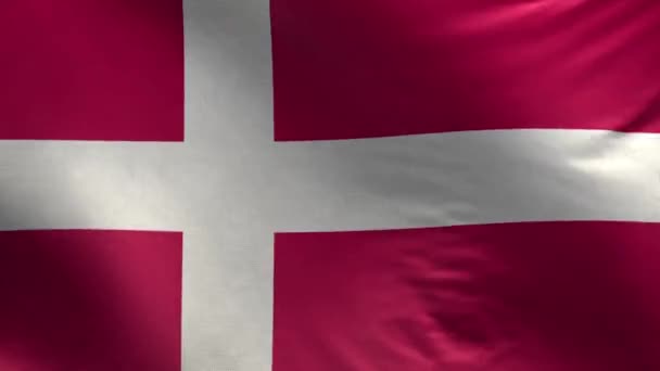 Флаг Дании Loop — стоковое видео