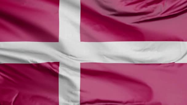 Dánská Vlajka Realistické — Stock video