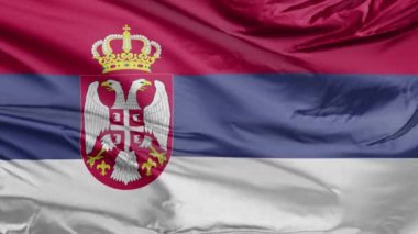 Sırbistan Bayrağı Gerçekçi 3D