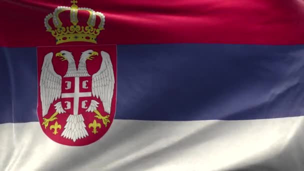 Serbiens Flagga Loop — Stockvideo