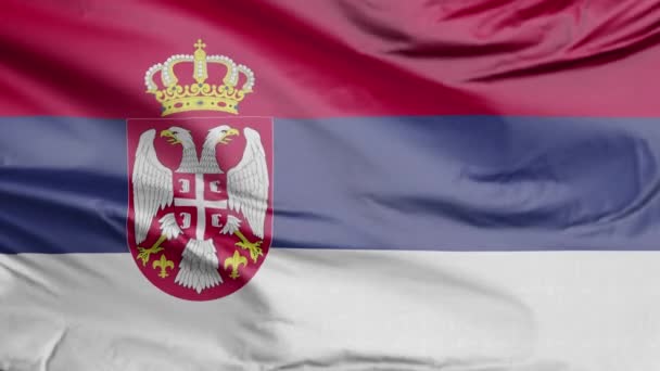 Flag Serbia Realistic — Stock Video