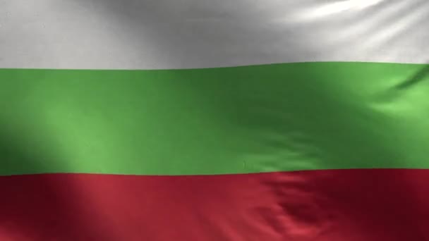 Vlag Van Bulgarije Loop — Stockvideo