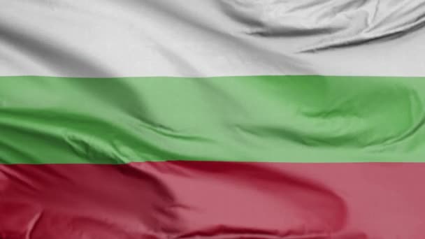 Vlag Van Bulgarije Realistisch — Stockvideo
