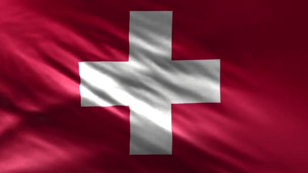 Flag Switzerland Loop — Stock video