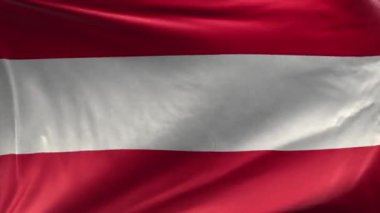 Avusturya bayrağı 3 boyutlu döngü