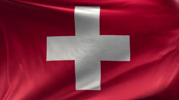 Bandera Suiza Loop — Vídeo de stock