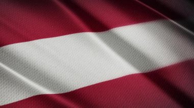 Avusturya Bayrağı Gerçekçi 3D