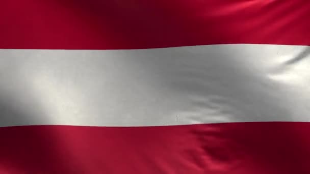 Σημαία Αυστρίας Loop — Αρχείο Βίντεο