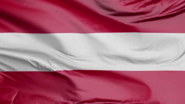Rakouská Vlajka Realistické — Stock video