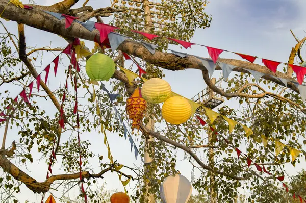 Hanging Paper Lanterns Tree Celebrations — Stock Photo, Image