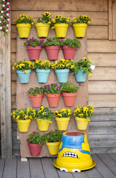 Vertical Garden Flower Pots Wall — Stock Photo, Image