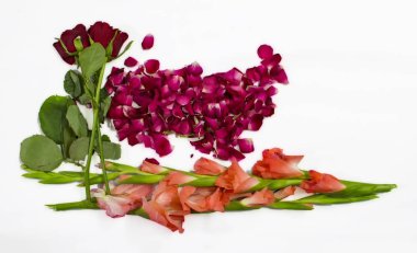 Yarım ölçü çerçevesi gül ve gladiolas çiçek tarafından oluşturulan ve yaprakları ile dolu