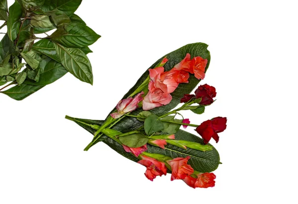 Flores Mixtas Rosas Rojas Junto Con Rosas Sobre Hojas Verdes — Foto de Stock