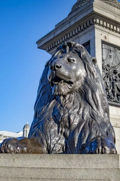 Black lion statue at trafalgar square in london