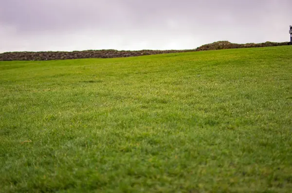 Le champ d'herbe verte au château de dover — Photo