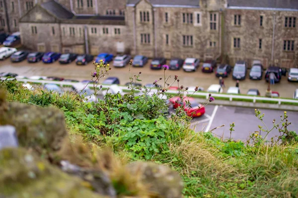 As plantas verdes e no fundo do castelo de dover de fora e alguns veículos — Fotografia de Stock