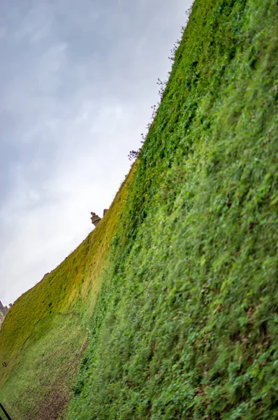 La pente verte longue et droite de l'herbe avec des taches jaunes — Photo