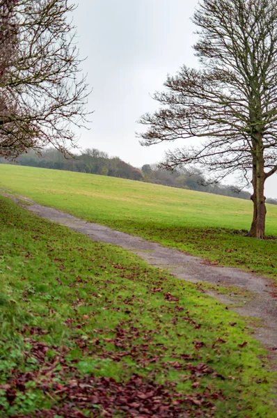 Le sentier dans les parcs ruraux du Royaume-Uni — Photo