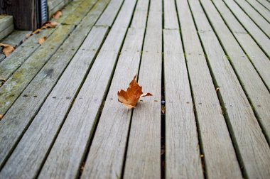 Londra 'da yapraklı ahşap yol