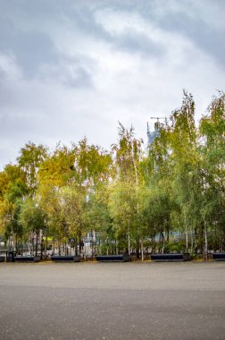 Bulutlu gökyüzü ve yeşil ağaçlar