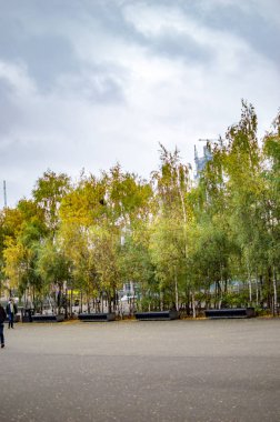 Londra açık zeminyeşil ağaçlar